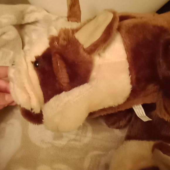 Cute dog slippers 🐕 - Picture 5 of 16